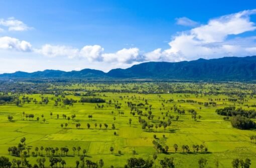 202+ Ảnh Gái Xinh Việt Nam Với Nét Đẹp Tự Nhiên Và Cuốn Hút