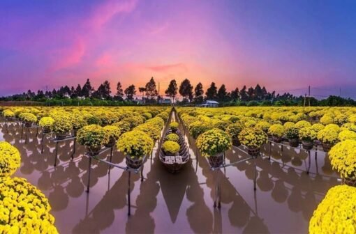 Các mức xử phạt vi phạm giao thông áp dụng từ ngày 1/1/2025